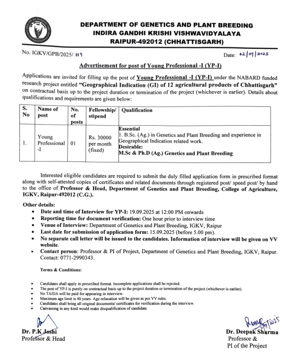 IGKV Raipur Young Professional Recruitment 2025
